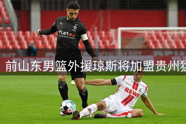 前山东男篮外援琼斯将加盟贵州猛龙，与刘毅再成队友