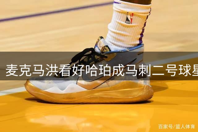 麦克马洪看好哈珀成马刺二号球星
